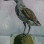 Stillife WithWoodcock, gouache on canvas, 24x30cm, 2012  650€