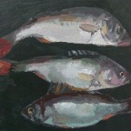 3 Barsche, gouache on canvas, 24x30cm, 2012  650€ 