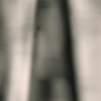 Symbiose, 2013, photo rag inkjetprint, 104x142cm, edition 1/9
