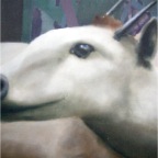Detail, Diorama