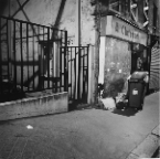 Paris, 2009